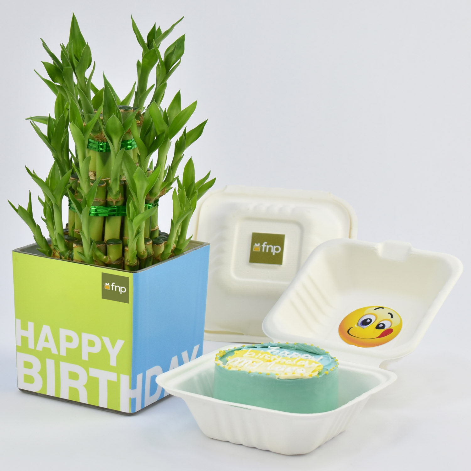Online Happy Birthday Lunch Box Chocolate Cake with Lucky Bamboo Gift